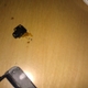 Old AUX port